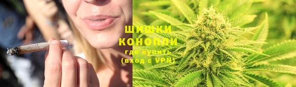 ПСИЛОЦИБИНОВЫЕ ГРИБЫ Алексин