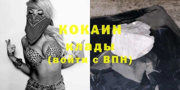 шишки Абинск