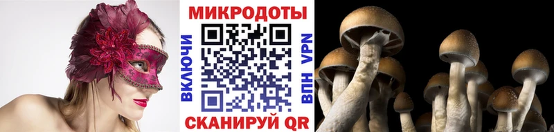 Псилоцибиновые грибы Psilocybe  Тюкалинск 
